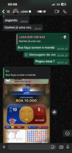 Imagem WhatsApp 2025-06-30 às 00.50.49_61ac6e88